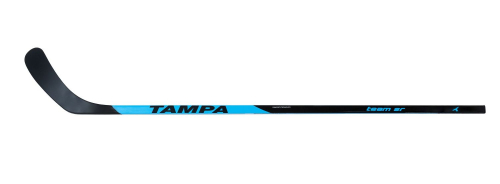 Клюшка Fischer Tampa Team Grip SR, синий